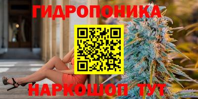 МДПВ Сланцы